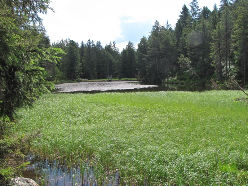 Laghi.....dell''ALTO ADIGE